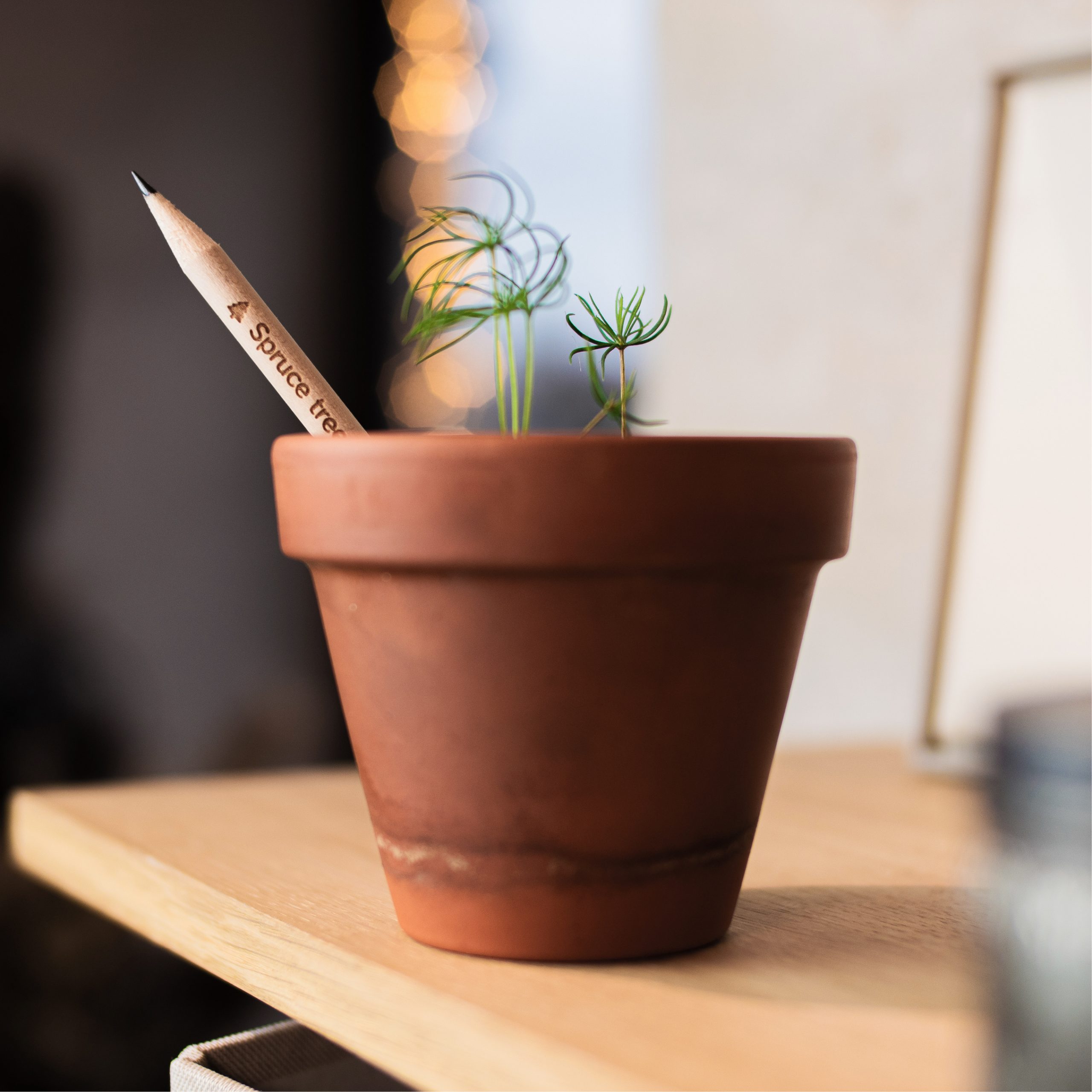 Sproutworld plantable pencil