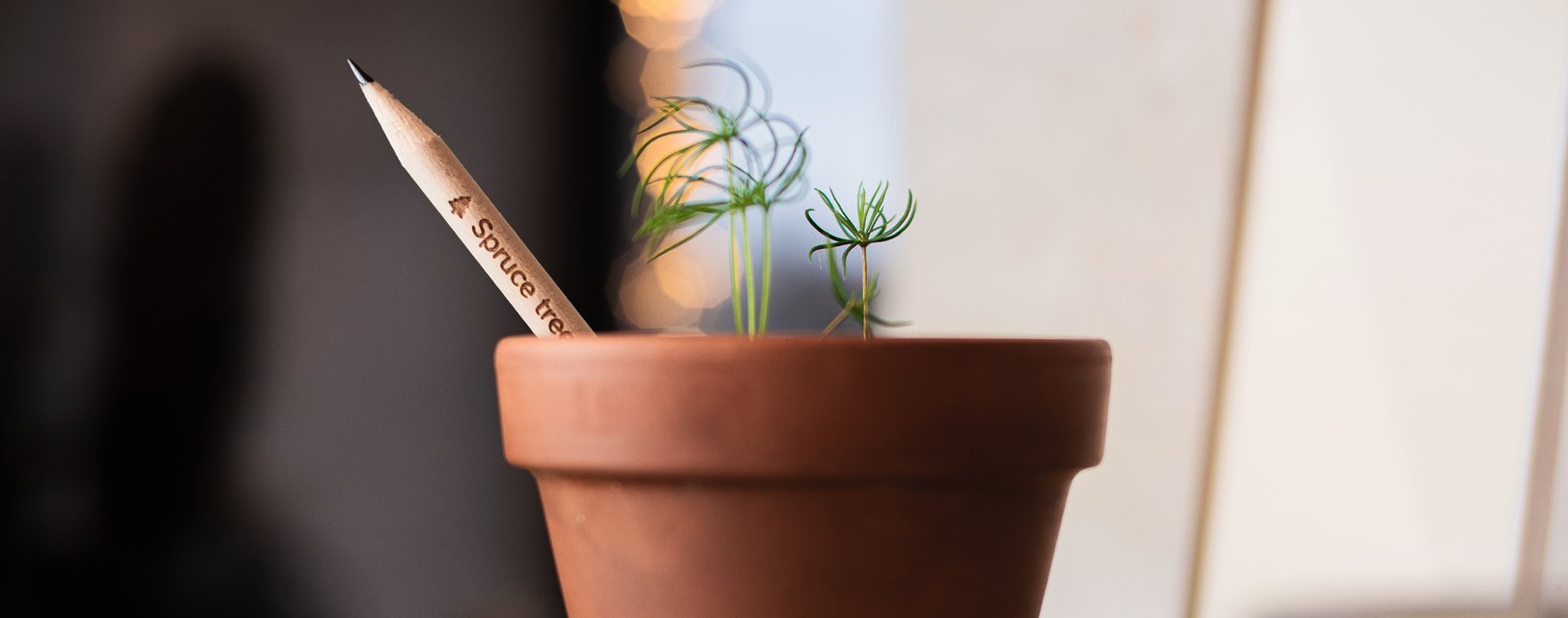 Stylo Fleur avec son pot | Vert