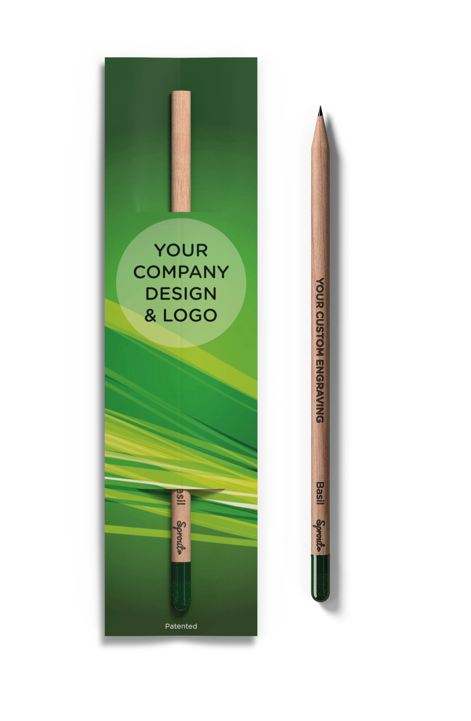 Box of 8 Plantable Graphite Pencils Natural Sustainable Wood The Original Sprout Pencil Sprout Pencils 