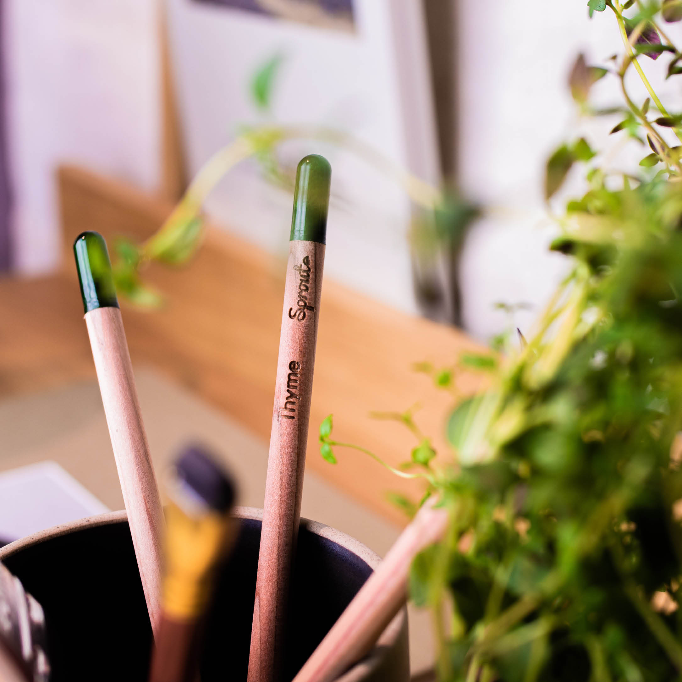 Sproutworld plantable pencil