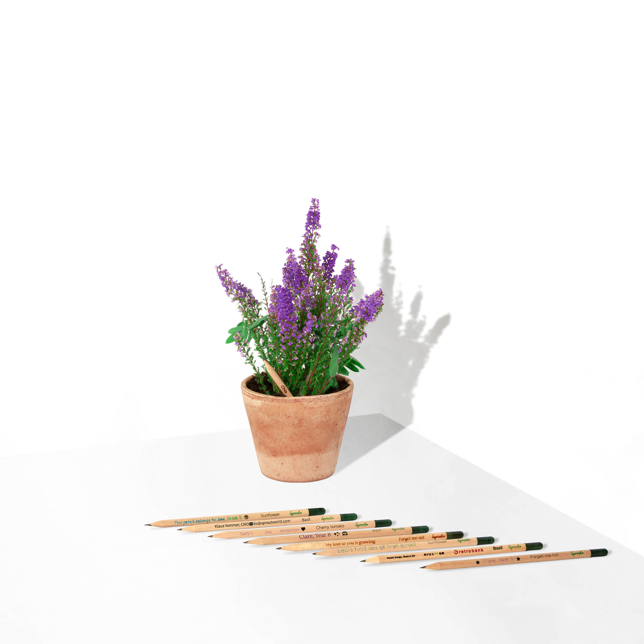 Lavender seed pencil