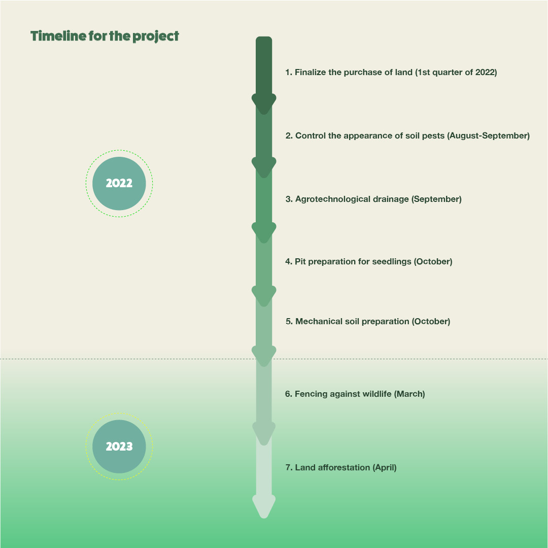 Sprout Timeline