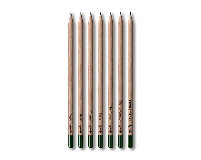 Sprout Pencils without package