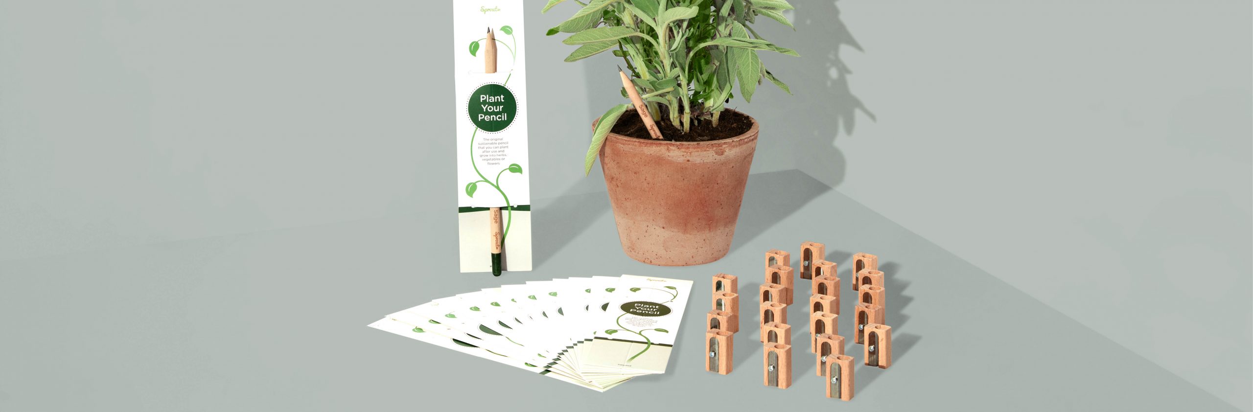 Sproutworld plantable stationery and accessories