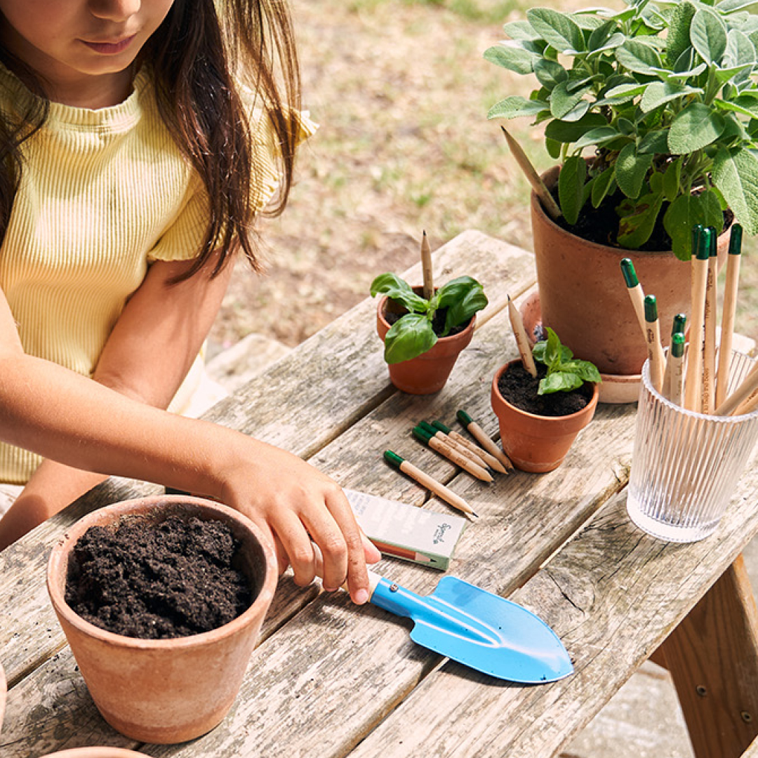 sproutworld children using plantable pencils