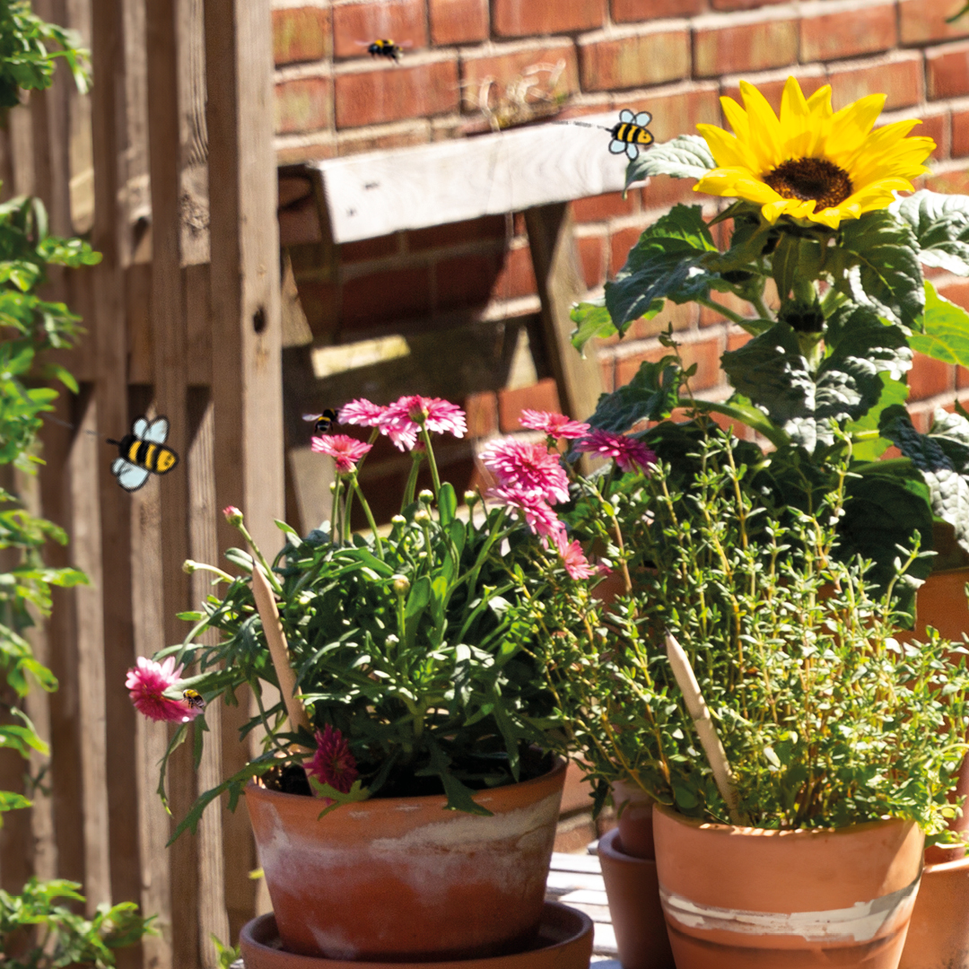 balcony urban garden with plantable pencils