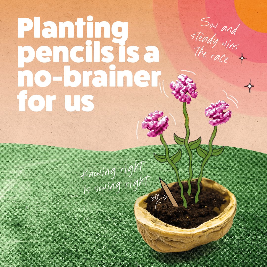 Planting pencils is a no-brainer for us