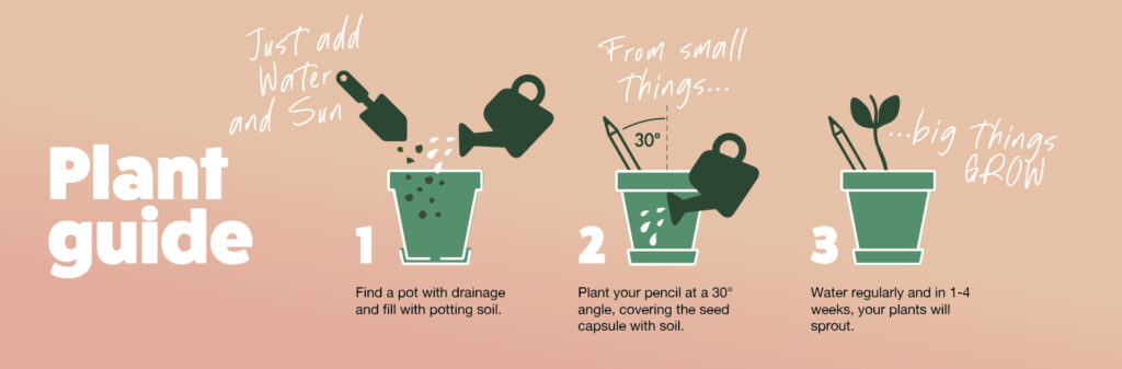 Plant Guide - SproutWorld
