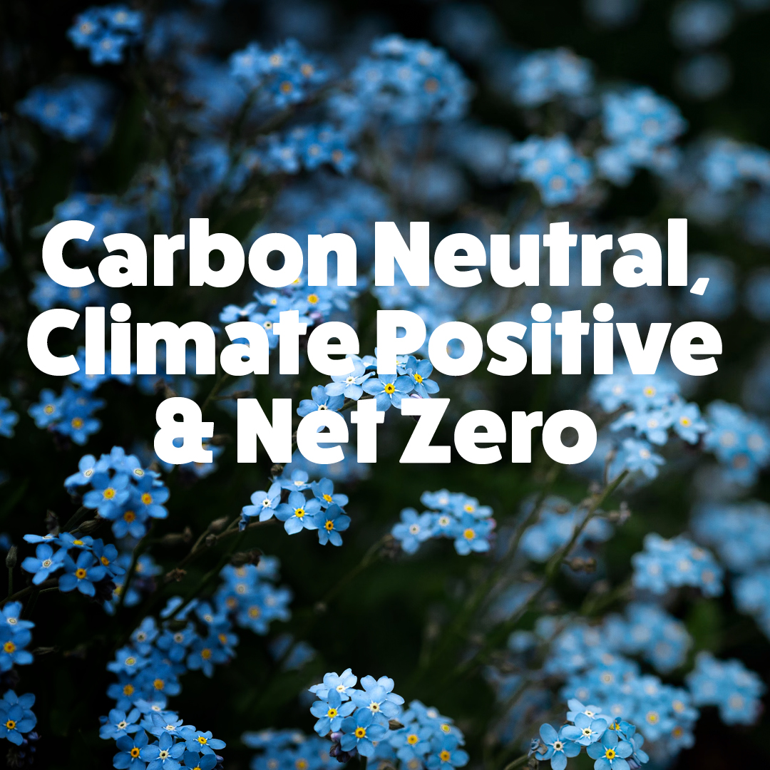 Carbon neutral, climate positive and net zero