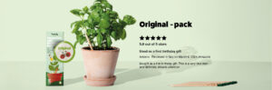 Original Review