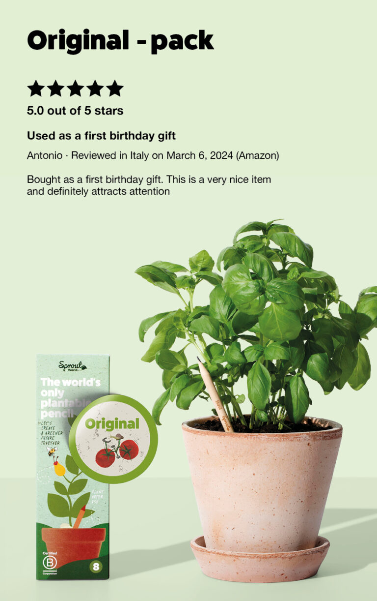 Home - SproutWorld