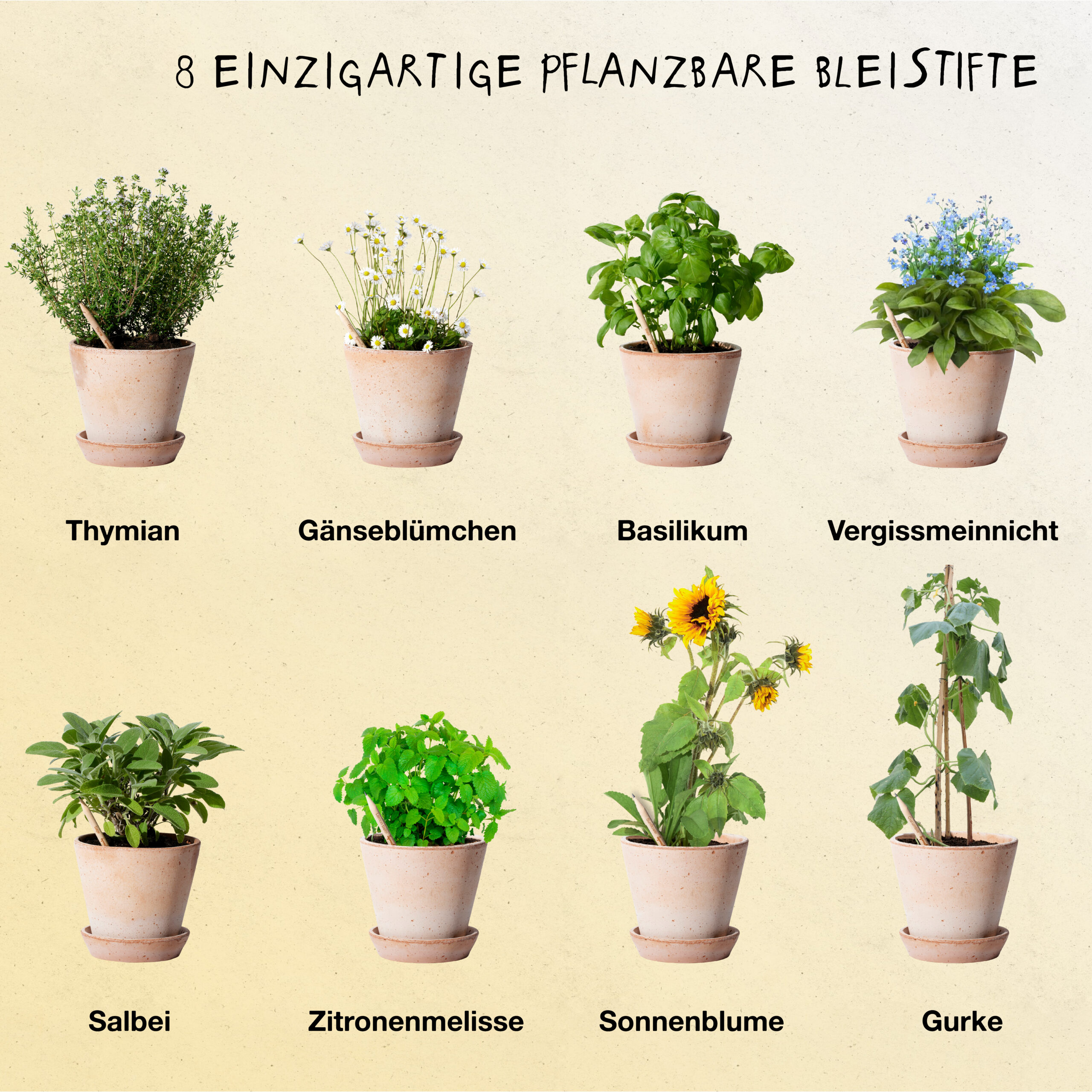 Mindful Thoughts · 8er Pack – Bild 2