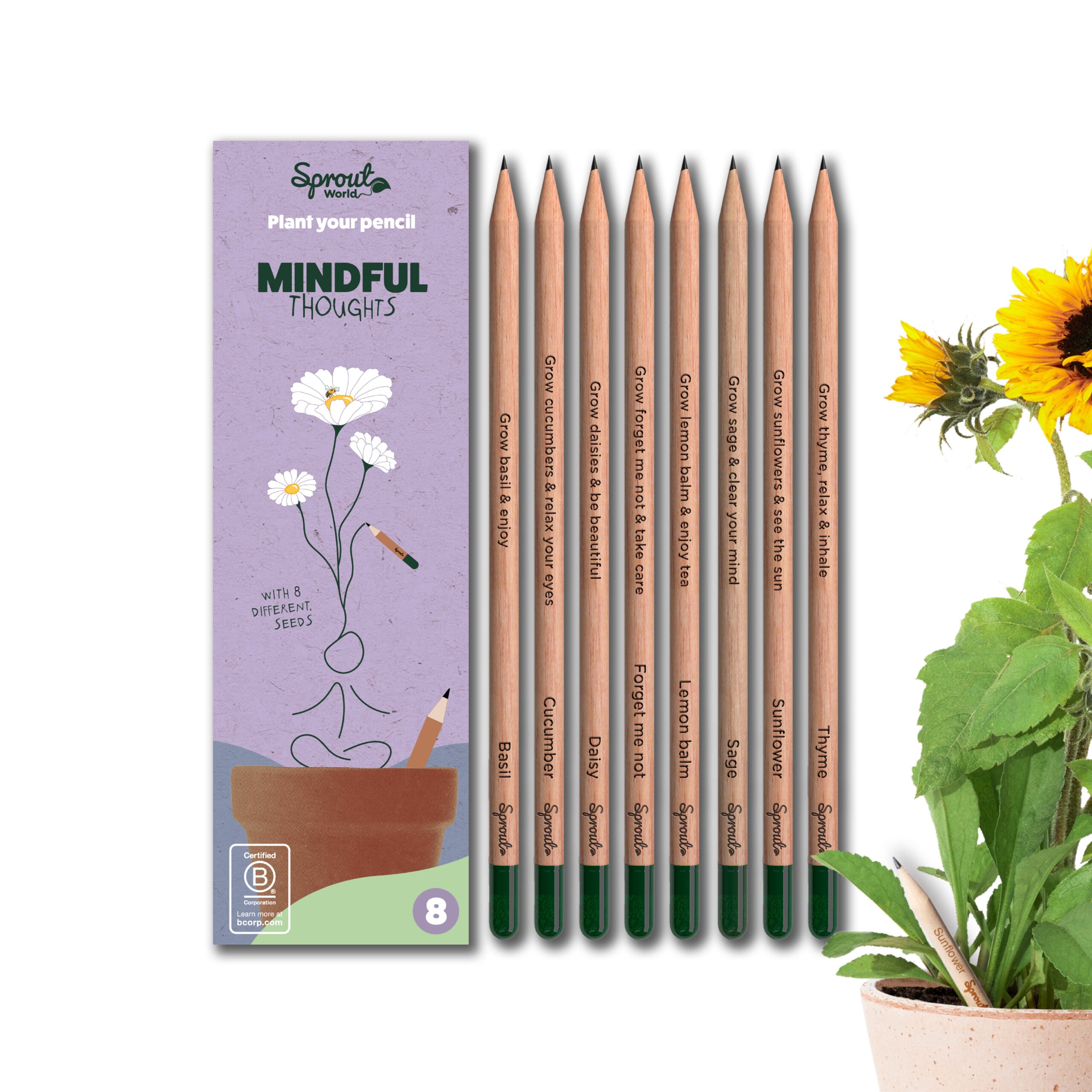Mindful Thoughts · 8-pack